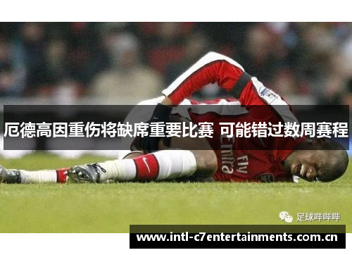 厄德高因重伤将缺席重要比赛 可能错过数周赛程